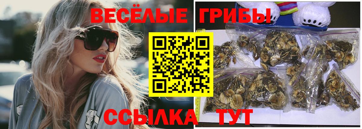 Галлюциногенные грибы ЛСД  Вход с VPN  Кушва  Псилоцибиновые грибы мухоморы 